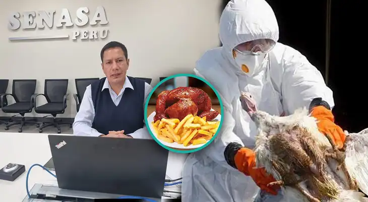 Senasa se pronuncia sobre comer o no pollo, huevos, entre otros.