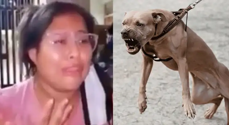 Madre de familia fue sorprendida por perro cuando salía de visitar a su abuela en Grocio Prado.