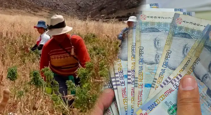 Link de consulta Bono Sequía 2023: cómo saber si soy beneficiario según el último dígito del DNI Link de consulta Bono Sequía 2023: cómo saber si soy beneficiario según el último dígito del DNI