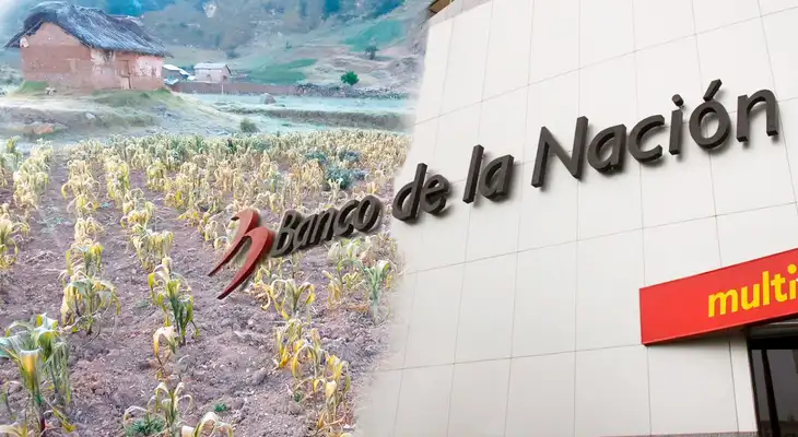 Conoce si eres beneficiario del Bono Sequía 2023. Conoce si eres beneficiario del Bono Sequía 2023.