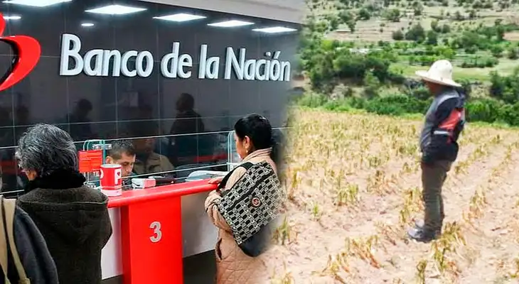 Conoce los detalles para cobrar el Bono Recupérate Ya 2023. Conoce los detalles para cobrar el Bono Recupérate Ya 2023.