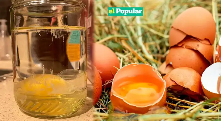 Aprende a hacer la lectura del huevo en agua y revela las señales de malas energías