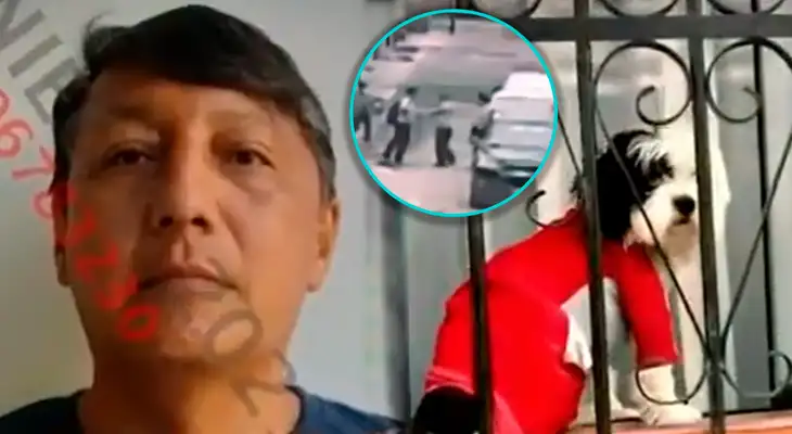 Sujeto agredió a madre de familia, hijo y su mascota en San Juan de Miraflores. Sujeto agredió a madre de familia, hijo y su mascota en San Juan de Miraflores.