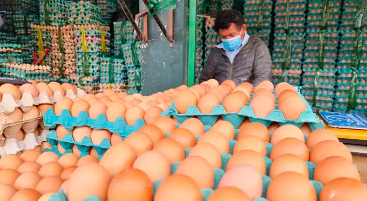 Conoce cómo identificar que un huevo está bueno para consumir.