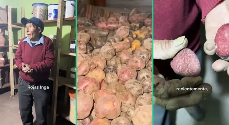 El campesino fue viral en TikTok por gran logro. El campesino fue viral en TikTok por gran logro.