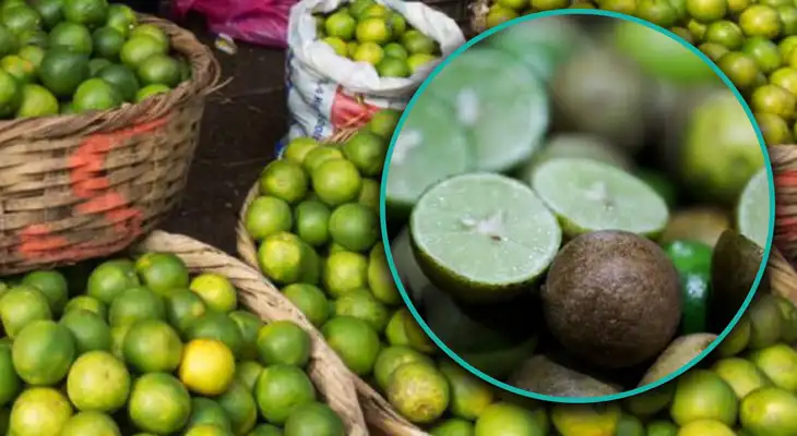 Limón pavita en Trujillo es la sensación de las amas de casa.