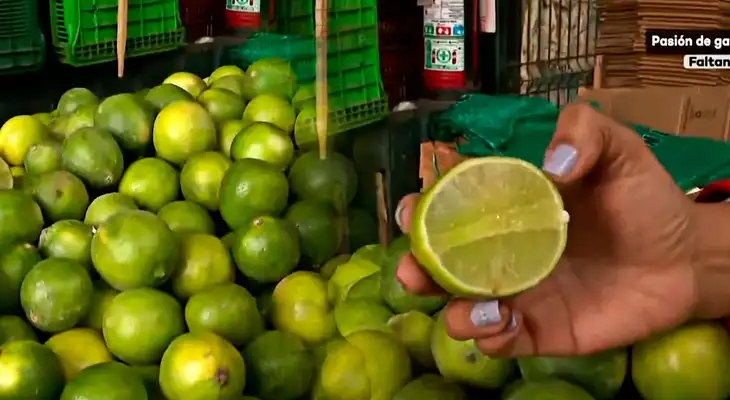 Conoce cuál es la diferencia entre el limón colombiano y el peruano.