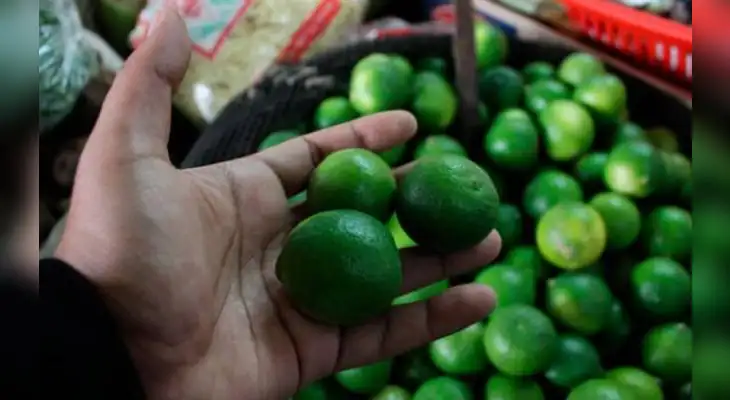Precio de limón baja en Cusco. Precio de limón baja en Cusco.
