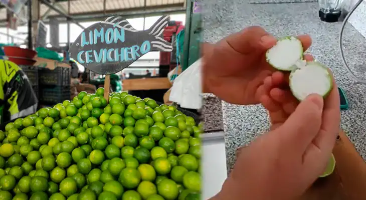 Estafas en la compra de limón se volvieron el pan de día durante el alza de precios. Estafas en la compra de limón se volvieron el pan de día durante el alza de precios.