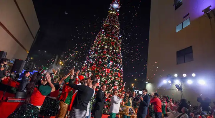 Árbol de Navidad es encendido en el INSN de San Borja. Árbol de Navidad es encendido en el INSN de San Borja.
