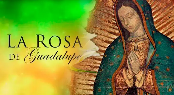 La Rosa de Guadalupe se inspiró un casos reales. La Rosa de Guadalupe se inspiró un casos reales.