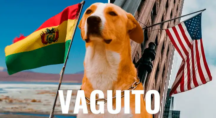 ‘Vaguito: Te esperaré en la orilla' llega a cines de EE.UU. y Bolivia por su gran éxito en Perú. ‘Vaguito: Te esperaré en la orilla' llega a cines de EE.UU. y Bolivia por su gran éxito en Perú.