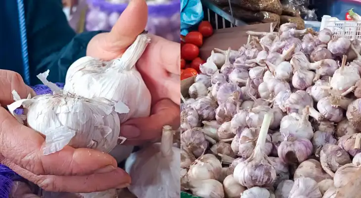 Conoce el motivo por el que se incrementaron algunos productos en el mercado. Conoce el motivo por el que se incrementaron algunos productos en el mercado.