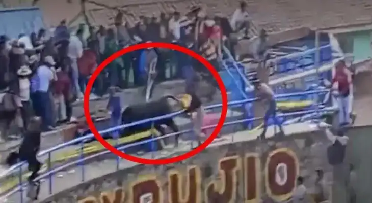 El animal sembró el pánico entre los asistentes a una festividad. El animal sembró el pánico entre los asistentes a una festividad.