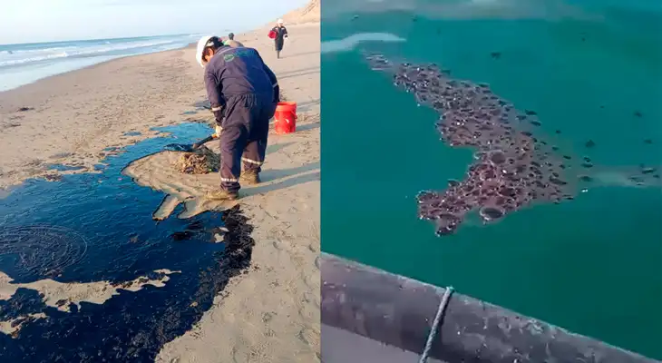 Contaminación por petróleo se halló tanto en zona de playa como de mar en Piura. Contaminación por petróleo se halló tanto en zona de playa como de mar en Piura.