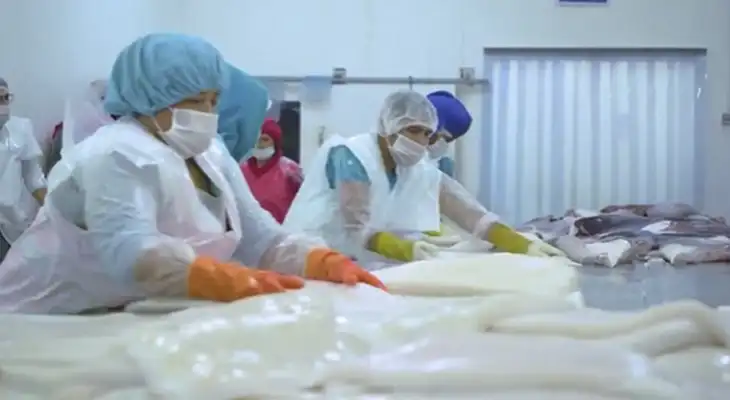 Beneficios de consumir productos marinos