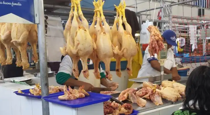 Precio del pollo se dispara en Lima: en mercados cuesta el doble que en centros mayoristas Precio del pollo se dispara en Lima: en mercados cuesta el doble que en centros mayoristas