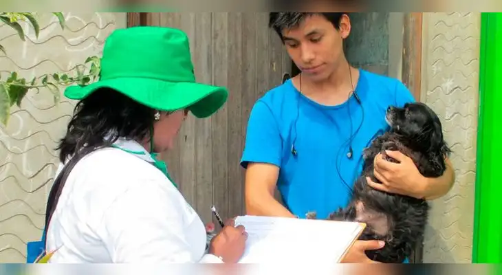 INEI incluirá un módulo sobre crianza de mascotas en la Encuesta Nacional de Hogares INEI incluirá un módulo sobre crianza de mascotas en la Encuesta Nacional de Hogares