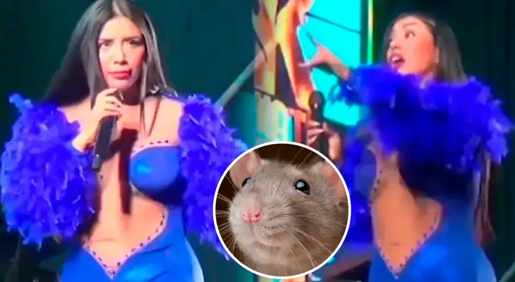 Kate Candela vivió INSÓLITO momento en concierto tras presencia de rata en el escenario