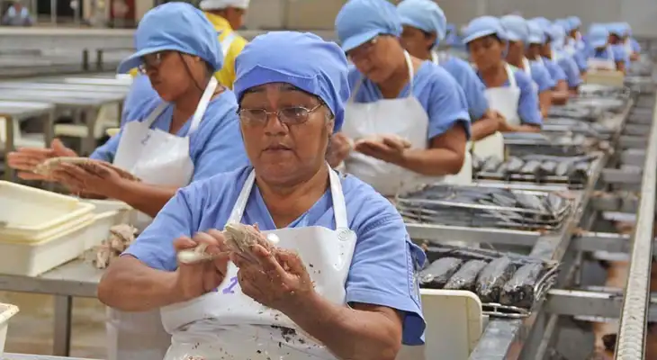 Conoce cuál es el pago que estarías recibiendo en noviembre 2025.