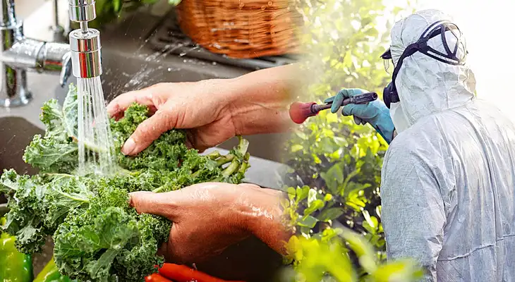 Descubre cómo eliminar pesticidas de frutas y verduras con ingredientes naturales.