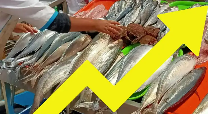 ¡SUBIÓ EL PESCADO! Oleajes anómalos elevan los precios en los mercados de Lima: Conoce los nuevos costos. ¡SUBIÓ EL PESCADO! Oleajes anómalos elevan los precios en los mercados de Lima: Conoce los nuevos costos.