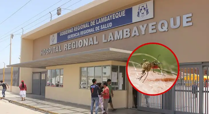 Paciente con malaria permanece internado tras viajar a Camerún. Paciente con malaria permanece internado tras viajar a Camerún.