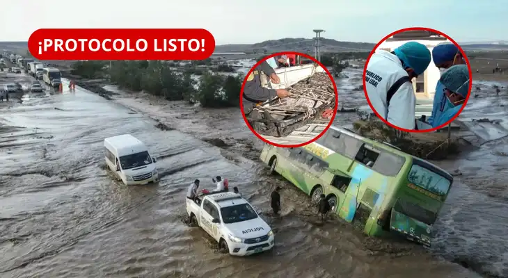 Gobierno aprueba protocolo para manejo e identificación de cadáveres ante desastres. Gobierno aprueba protocolo para manejo e identificación de cadáveres ante desastres.
