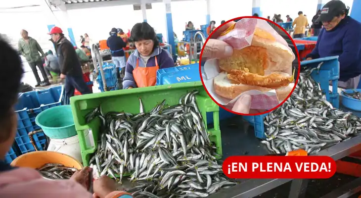 Chorrillos: venden pan con pejerrey a S/5 en mercado La Paradita durante periodo de veda. Chorrillos: venden pan con pejerrey a S/5 en mercado La Paradita durante periodo de veda.